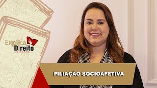 Explica Direito Filiação Socioafetiva  2019 [upl. by Yokum]