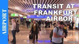 TRANSIT WALK AT FRANKFURT Airport FRA Terminal 1  Connection Flight Transfer Arriving amp Departing [upl. by Theadora]